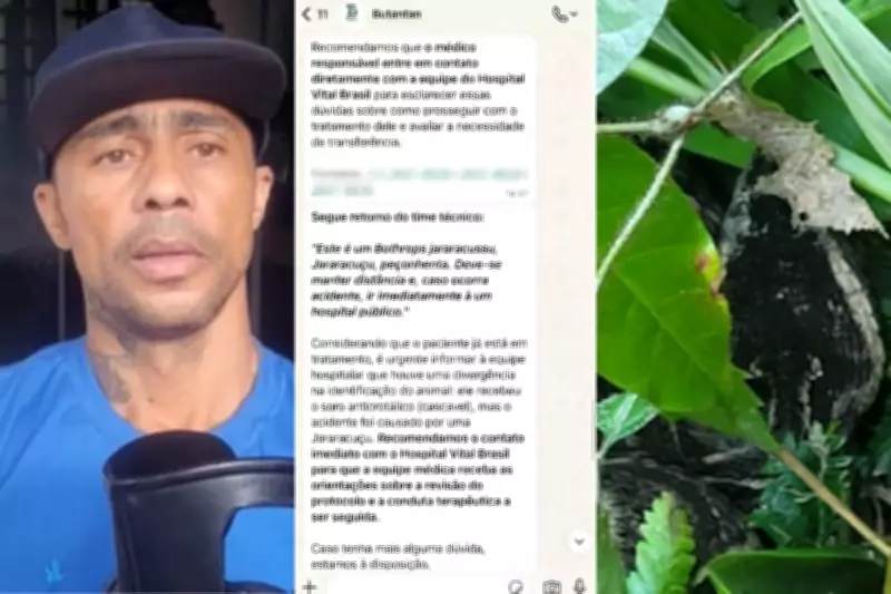 Homem picado por jararacuçu recebe soro errado após confusão médica em SP