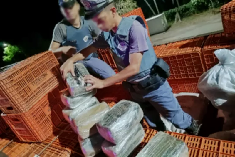 Homem é preso com 135 kg de maconha em caminhão na SP-294 em Adamantina