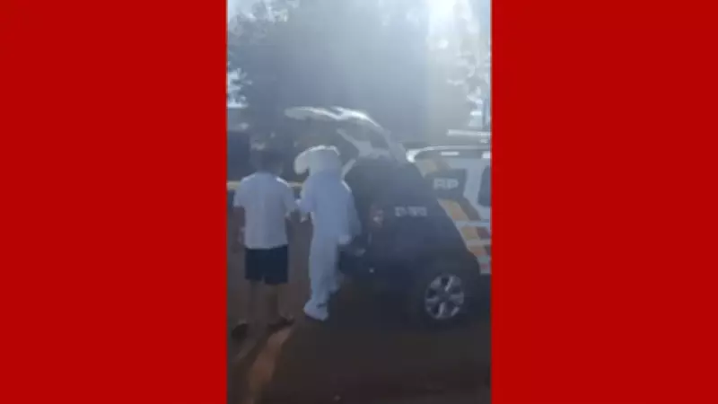 Homem preso e adolescente vestido de coelho apreendido em ação da PM em MT