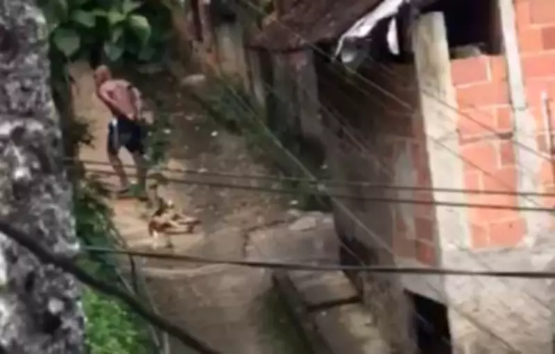 Homem é preso no RJ por matar cachorro do vizinho e arrastar corpo em via pública