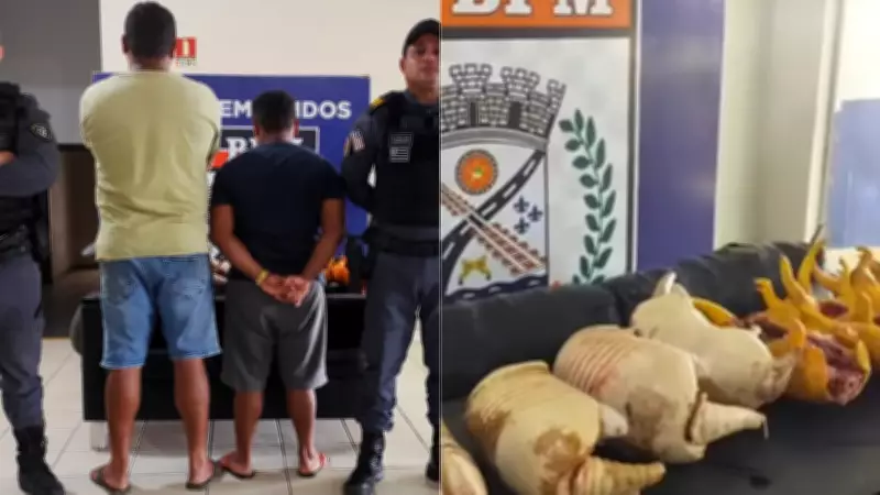 Homem é preso por transportar sete tatus abatidos ilegalmente na MA-125 no Maranhão
