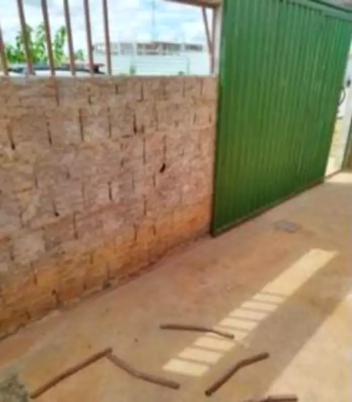 Homem quebra barras de muro após ser trancado pelos pais após ameaças de morte em São João das Missões