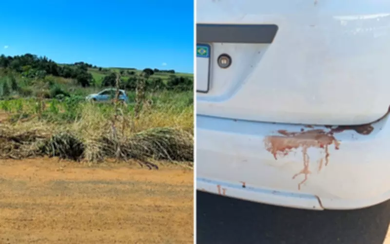 Homens matam a facadas durante festa e abandonam corpo em rodovia em GO