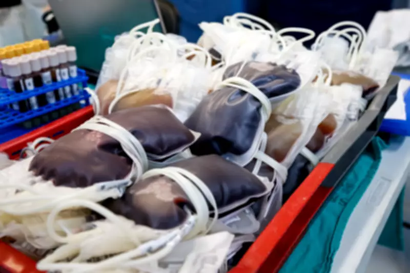 Hospitais Municipais do Rio Promovem Campanha de Doação de Sangue Nesta Semana