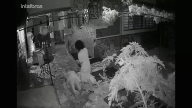 Hóspede embriagada agride idosa dona de pousada em ataque de fúria no Distrito Federal