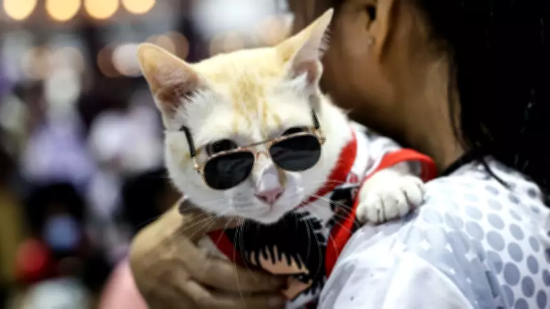 Humanos compartilham genes com bananas e moscas, revelando surpreendentes conexões evolutivas