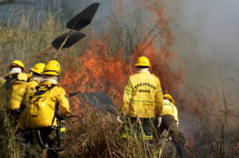 Ibama autoriza contratação de brigadas temporárias para combater incêndios florestais no Maranhão