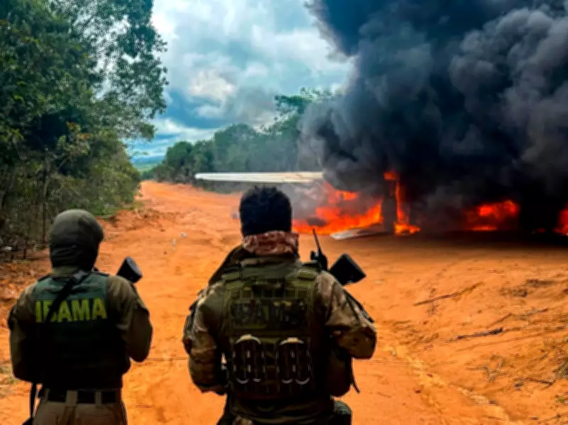 Ibama incinera avião usado em garimpo ilegal durante operação no Pará