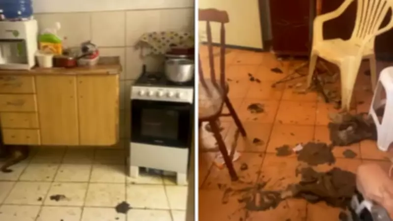Idosa de 78 anos é encontrada em situação de abandono com animais em apartamento insalubre em Jundiaí