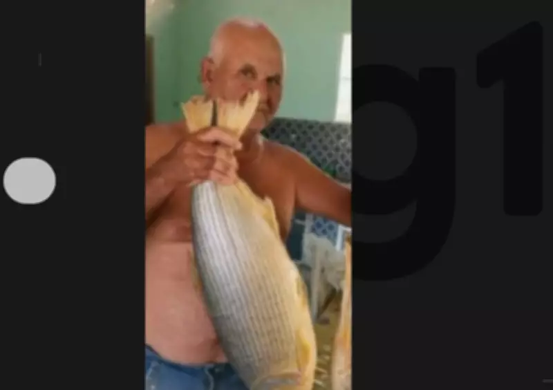 Idoso de 66 anos morre após ataque de abelhas enquanto dirigia trator em plantação na Bahia