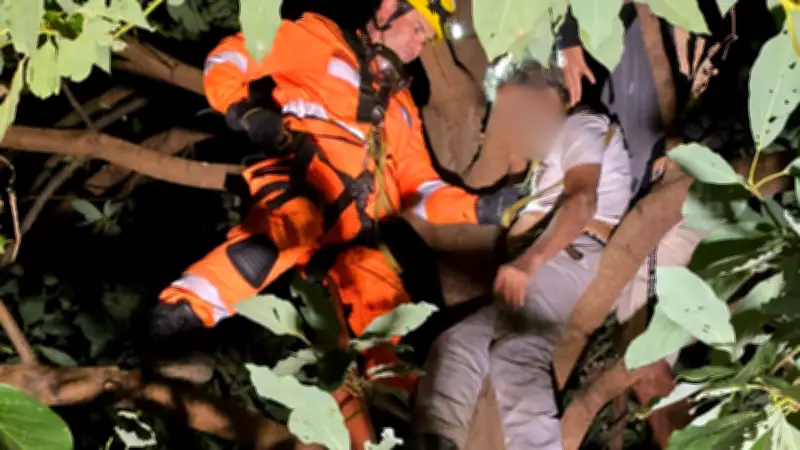 Idoso de 67 anos fica preso em goiabeira e é resgatado por bombeiros em Patos de Minas