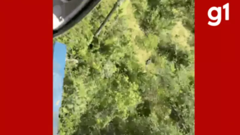 Idoso de 70 anos desaparecido é resgatado por helicóptero em mata de Santo Antônio do Leverger