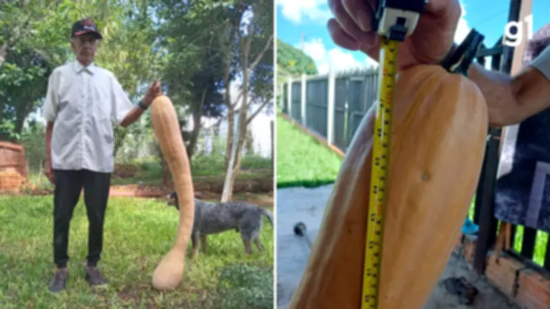 Idoso de 95 anos colhe abóbora gigante de 1,23 metro no Rio Grande do Sul