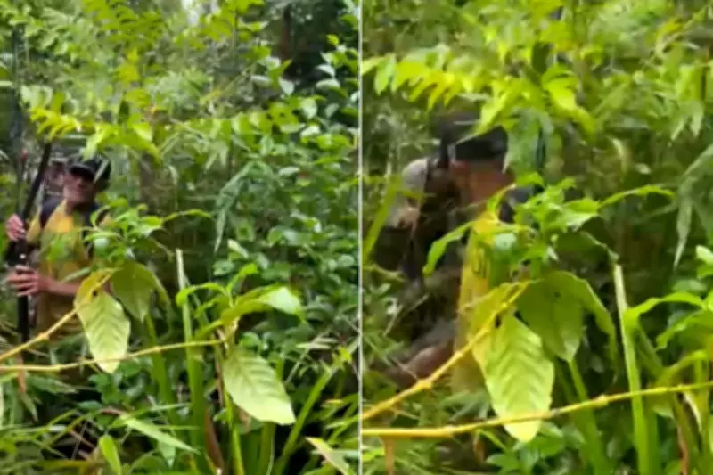 Idosos desaparecem por mais de um dia após pescaria e são resgatados em mata no litoral de SP