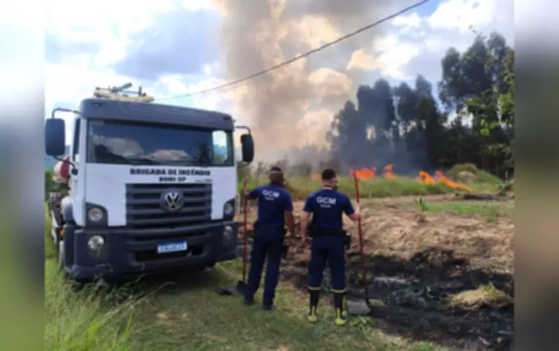 Incêndio de grandes proporções em fazenda de pinus é controlado pela GCM em Buri