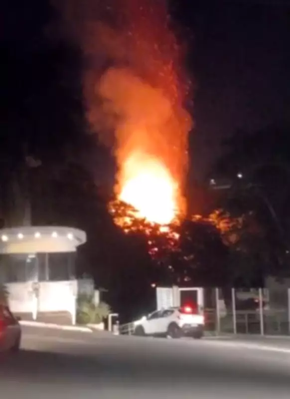 Incêndio em bambuzal atinge seminário em Juiz de Fora; veja detalhes