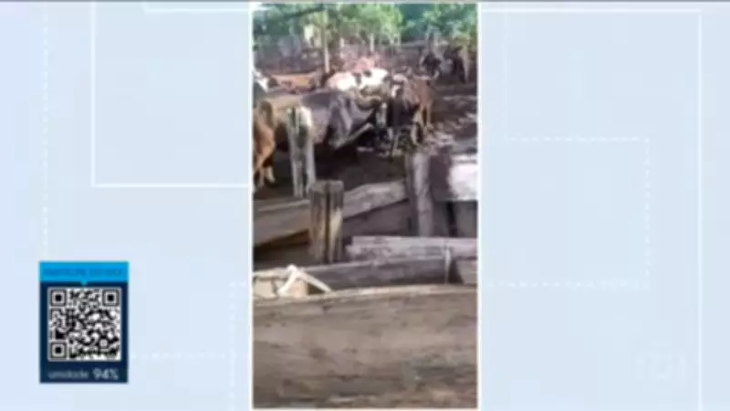 Incêndio em prédio comercial no Distrito Federal mobiliza bombeiros nesta quinta-feira