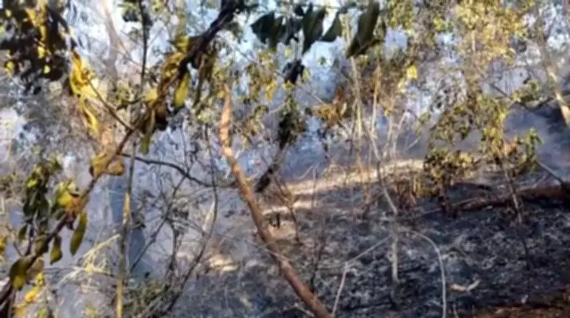 Incêndio na Floresta da Tijuca causado por balão durou mais de 30 horas