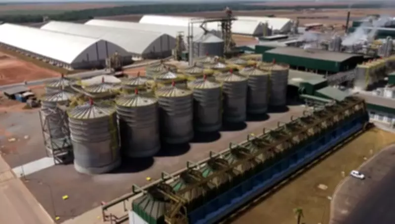 Indústria de etanol de milho em Mato Grosso projeta alta de 17,8% na produção até 2027