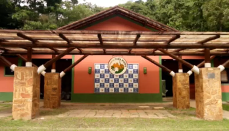Instalação 'Olhares da Mata Atlântica' oferece imersão sensorial no Parque Estadual dos Três Picos