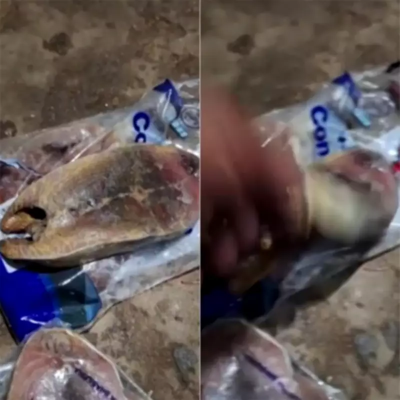 Intoxicação Alimentar em Angicos: Moradores Passam Mal Após Consumir Peixes da Prefeitura