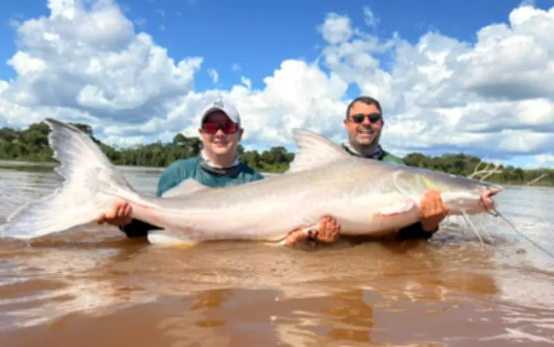 Irmãos realizam sonho ao pescar piraíba de 2 metros e 100 kg no Rio Araguaia
