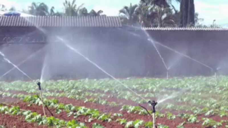 Irrigação eficiente é fundamental para otimizar recursos na agricultura familiar