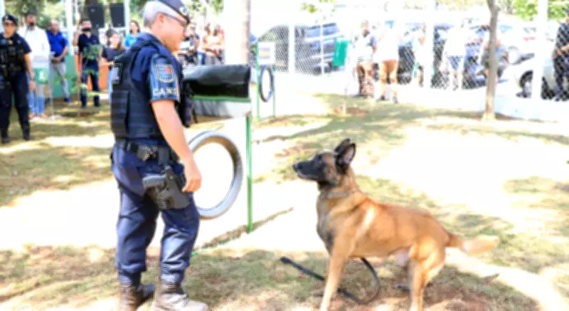 Itu inaugura 'Espaço Cão Orelha' em homenagem a cachorro morto e anuncia veículos para resgate animal