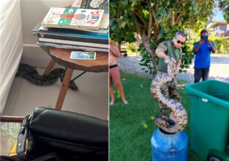 Jiboia de 10 kg é resgatada dentro de residência em Búzios após alerta de idosas