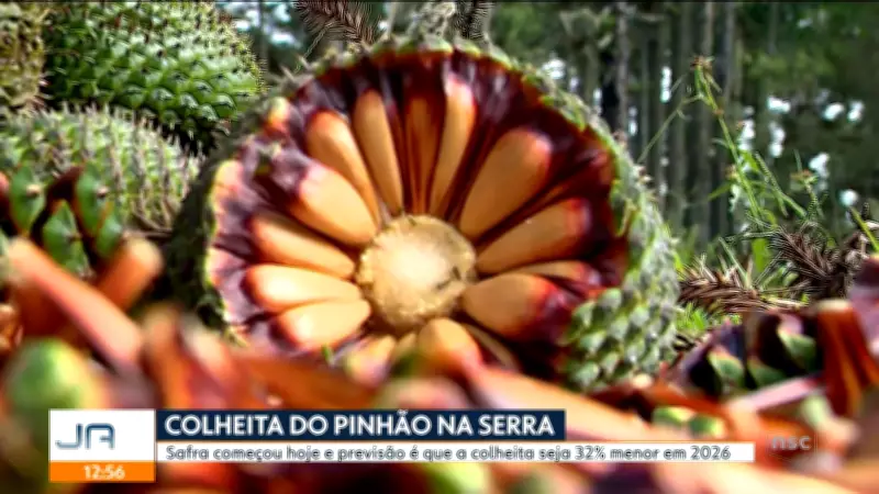 Jornal do Almoço de Florianópolis apresenta notícias locais nesta quarta-feira
