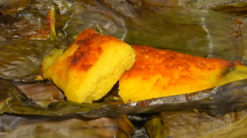 Jornal do Campo TO destaca avanços no agronegócio e sustentabilidade no Tocantins