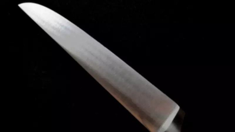 Jovem invade escola em Suzano com facão e fere professora; ex-aluno é detido