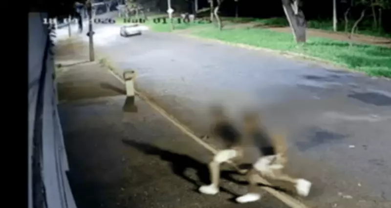 Jovens causam prejuízo de R$ 2 mil ao darem 'voadora' em portão em Uberlândia