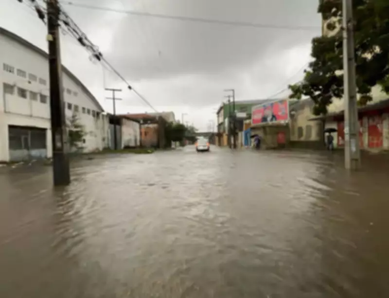 Justiça condena Prefeitura do Recife a indenizar mulher por queda de galho em dia de chuva
