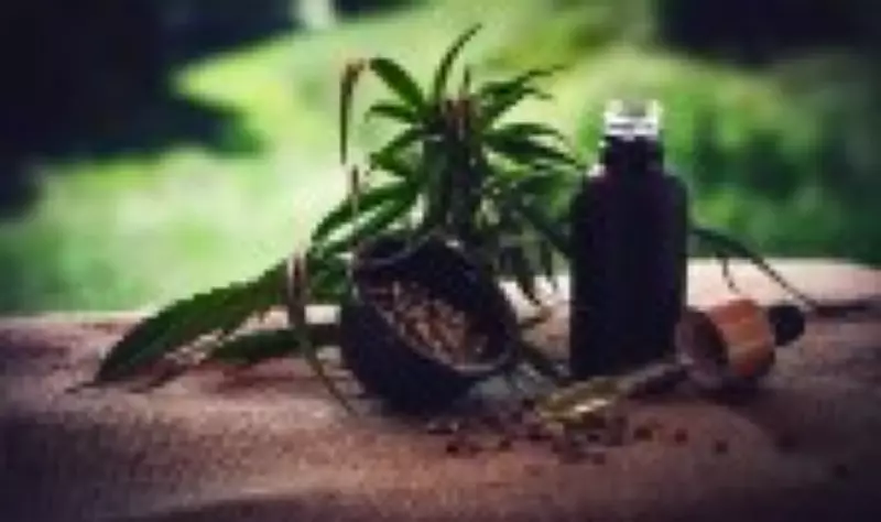Justiça do Texas suspende normas que restringem mercado de cannabis com THCA