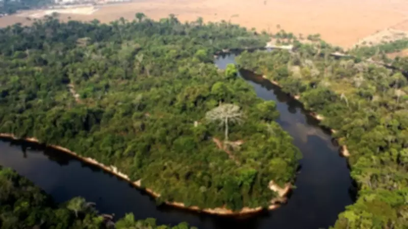 Justiça mantém embargo de área desmatada ilegalmente em Lábrea, no Amazonas