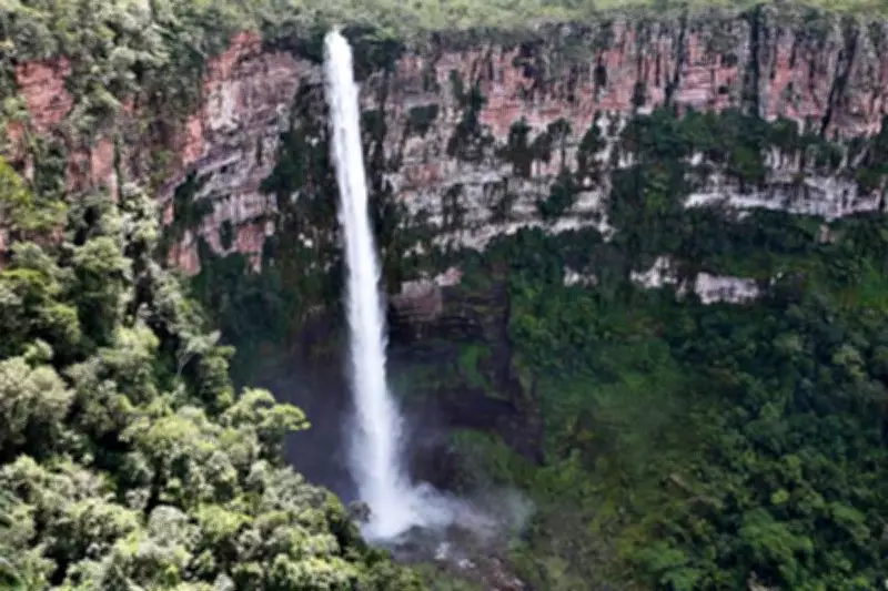 Justiça mantém multa de R$ 6 milhões a produtor por desmatamento em parque estadual de MT
