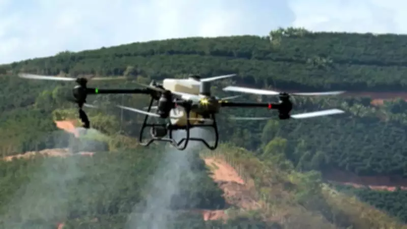 Justiça mantém suspensão de pulverização aérea de agrotóxicos em Timbiras, MA