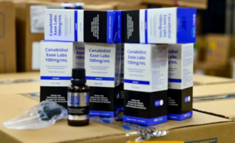 Lei municipal de Itapetininga aprova fornecimento gratuito de canabidiol