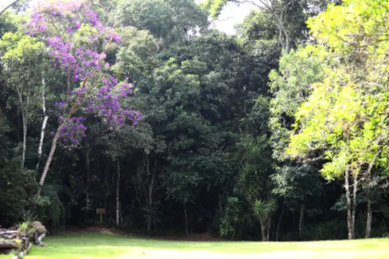 Licitação do Horto Florestal em São José dos Campos fracassa sem vencedores