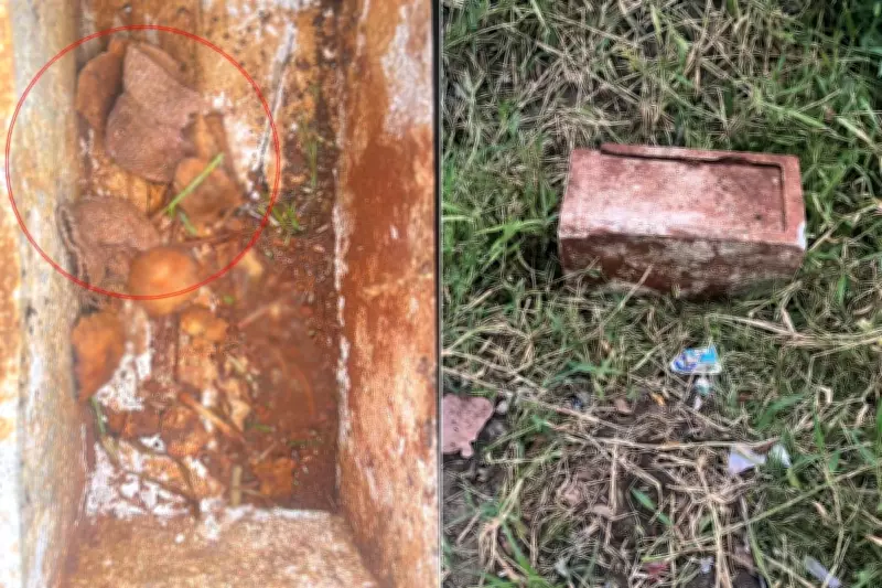 Luvas de bebê intactas são encontradas com ossada em caixa de concreto