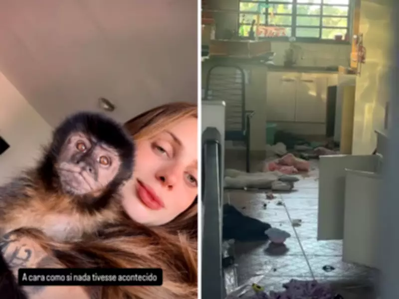 Macaco 'fujão' causa estragos e susto em bairro de Campinas, no interior de SP