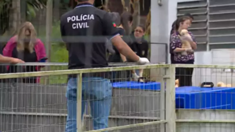 Mais de 200 animais resgatados de canil interditado no RS são levados para ONG