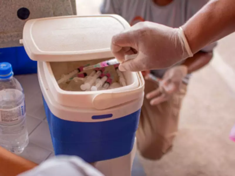 Mais de 700 cães e gatos vacinados contra raiva em ação especial em Rio Branco
