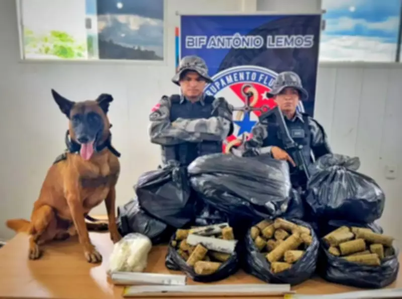 Mais de 80 kg de skunk apreendidos em embarcação no Marajó
