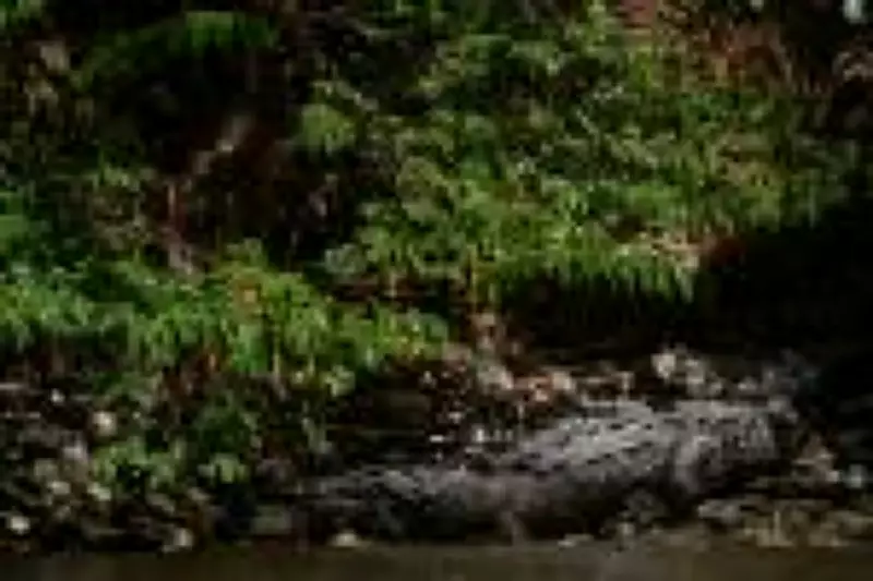 Menino de 13 anos morre atacado por crocodilo ao buscar bola em rio na Indonésia