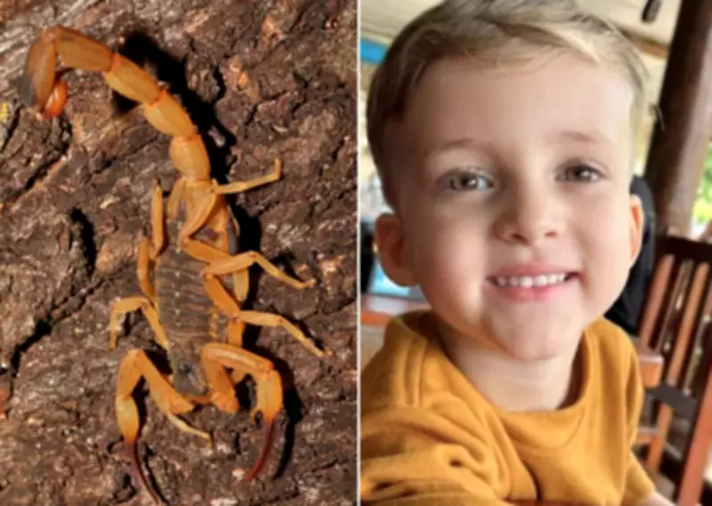 Menino de 3 anos morre após receber soro antiescorpiônico com mais de 4 horas de atraso em Conchal, SP