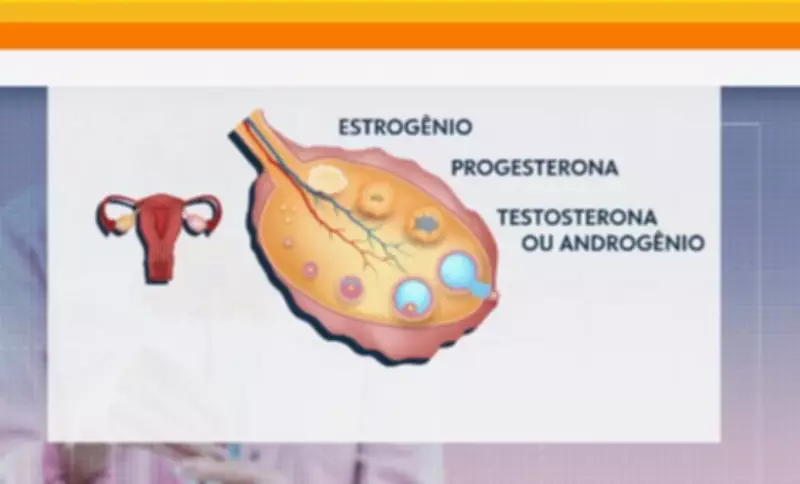 Menopausa em São Paulo: Atendimentos crescem 91,3% em 2025 e desafiam saúde pública
