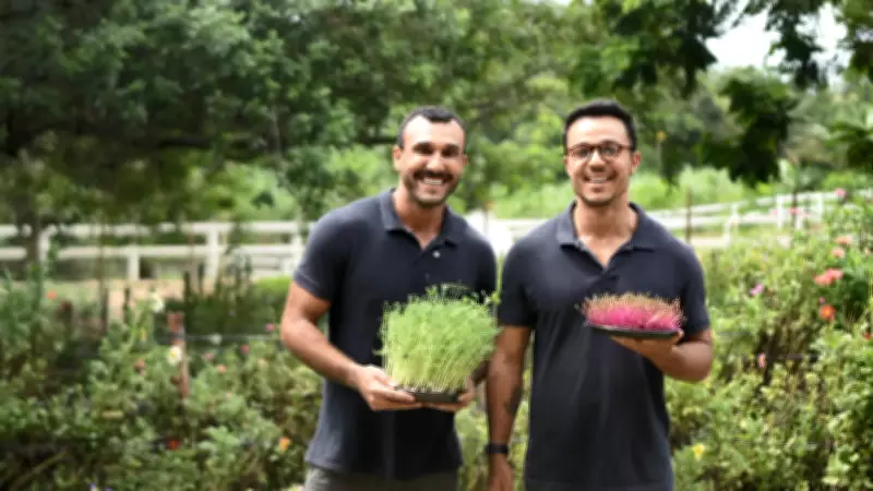 Microverdes e PANCs: a revolução gastronômica que impulsiona negócio no Espírito Santo