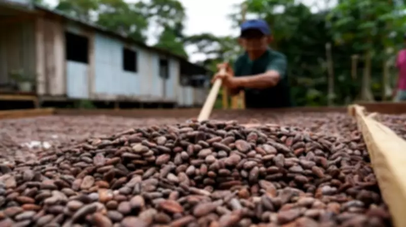 Ministério da Ciência abre R$150 milhões para projetos sustentáveis na agricultura familiar